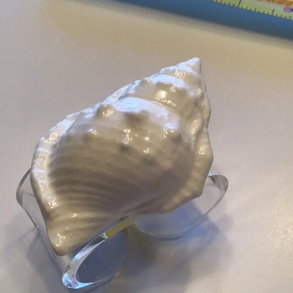 Vintage Shell Napkin Rings Seashells Acrylic Lucite Bone China Conch Set 8‎